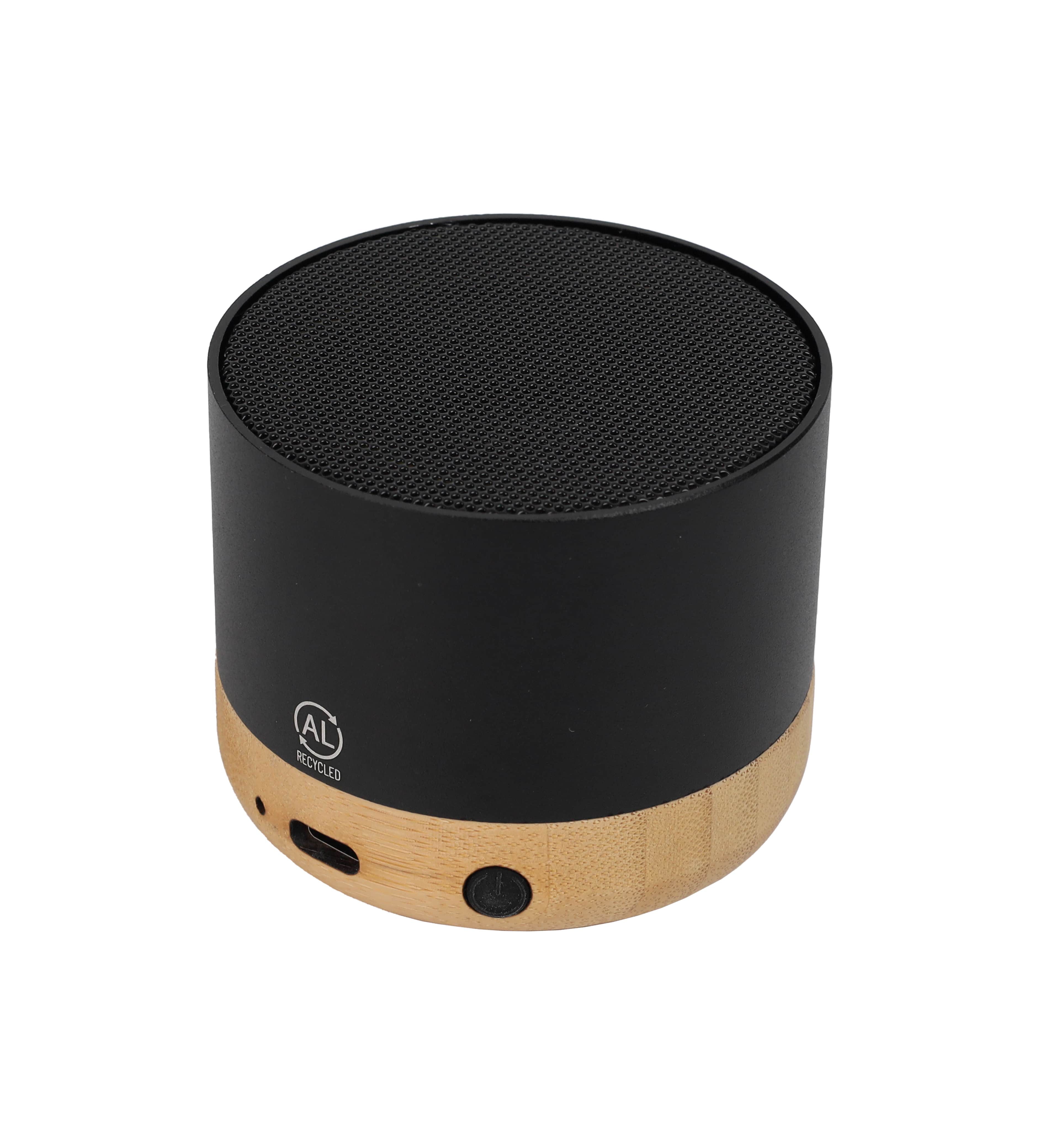 SALIENT - Bamboo Speaker