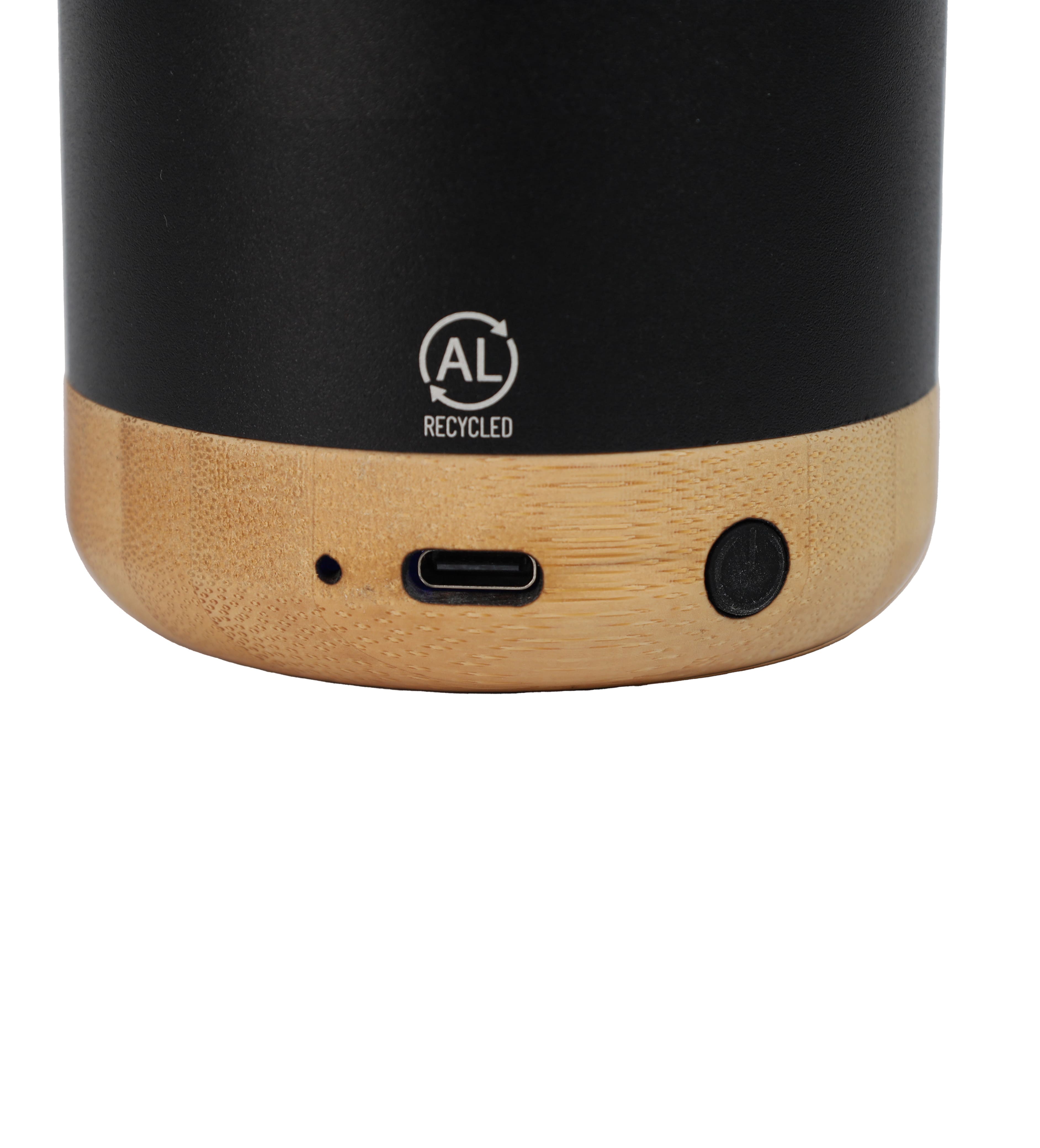 SALIENT - Bamboo Speaker